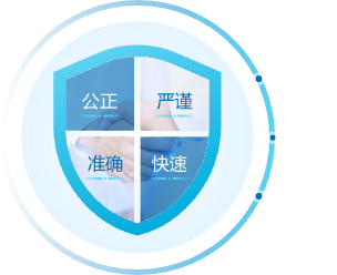 公正严谨准确快速